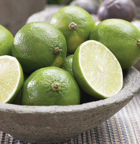 Tahiti Lime Fidanı